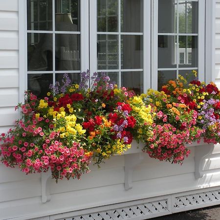 Cote'S Bed & Breakfast Grand Falls Exterior photo