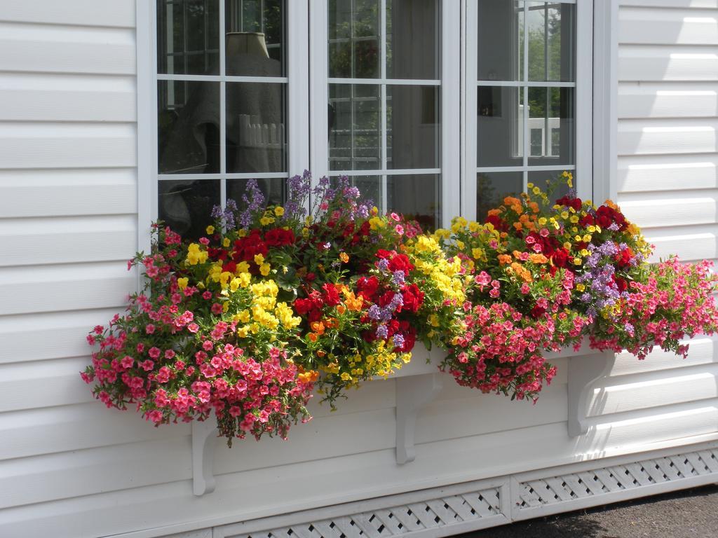 Cote'S Bed & Breakfast Grand Falls Exterior photo